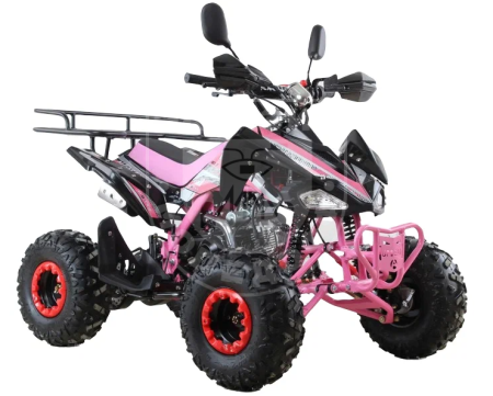 MOTAX Квадроцикл MOTAX ATV T-Rex Super LUX 125cc фиолетовый