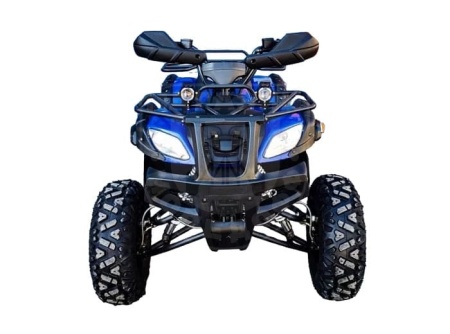 Grizzly Квадроцикл GRIZZLY 250 синий