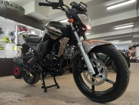 Motoland Мотоцикл Motoland BANDIT 300 brown