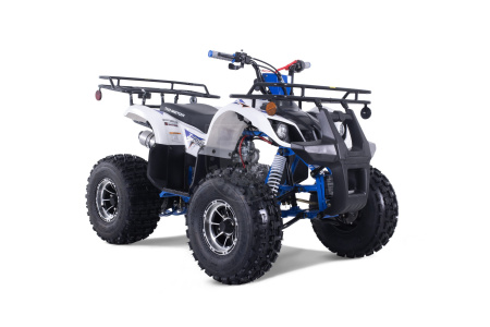TAO motors Квадроцикл TAO 2022 T-FORCE PLATINUM синий
