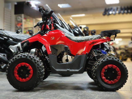 Yacota Квадроцикл YACOTA RAPOSA 110cc красный