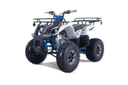 TAO motors Квадроцикл TAO 2022 T-FORCE PLATINUM синий