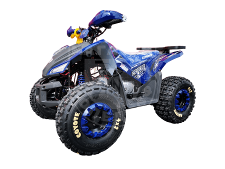 Motoland Квадроцикл MOTOLAND 125 COYOTE PRO купить в Мопедофф www.9814555.ru
