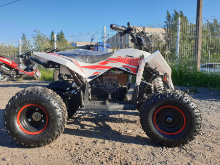 MOTAX Квадроцикл MOTAX GEKKON 50