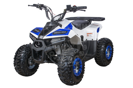 Yacota Квадроцикл YACOTA RAPOSA 110cc белый