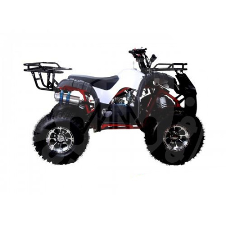 TAO motors Квадроцикл TAO NEW T-FORCE белый