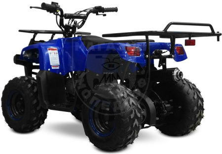 Yacota Квадроцикл YACOTA SMARTY 110 синий