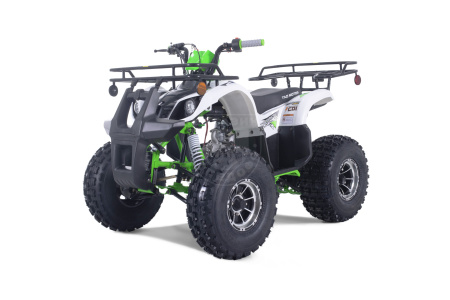 TAO motors Квадроцикл TAO 2022 T-FORCE PLATINUM зелёный