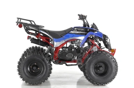 Apollo Квадроцикл Apollo SPORTRAX 125CC синий