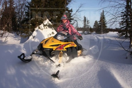 RM (Русская механика) Снегоход TIKSY 250 Люкс 22 л.с. PM3-250