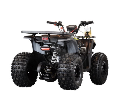 TAO motors Квадроцикл TAO MUDHAWK 10 чёрный