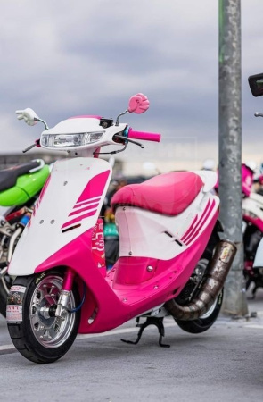 Okinawa Скутер Lite FG 150 pink
