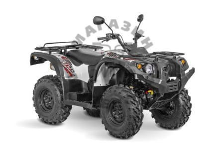 Квадрицилы Striker Квадроцикл Baltmotors ATV 200 EFI 200сс 2т