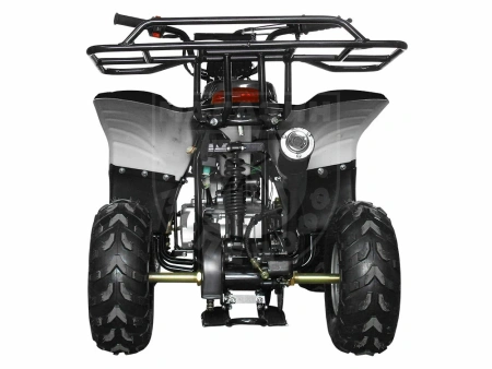 AVANTIS квадроцикл Avantis Termit Junior 110сс 4т (110 кубов) (чёрный)