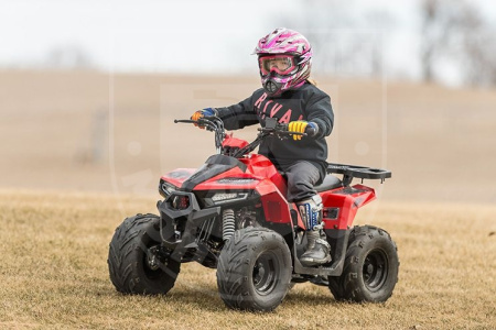 Детские Квадроцикл Tao Motor 110 Mudhawk Red