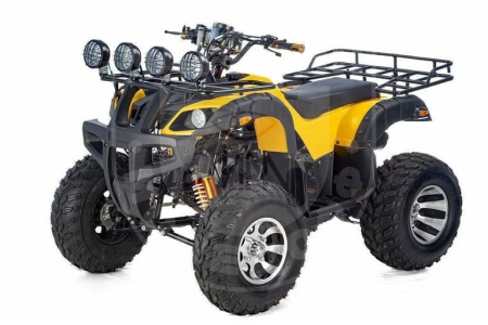 RAPTOR Квадроцикл RAPTOR MAX PRO 250 (жёлтый)