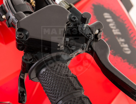 Детские Квадроцикл Tao Motor 110 Mudhawk Red