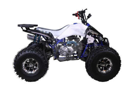 TAO motors Квадроцикл TAO New CHEETAH синий
