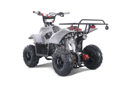 TAO motors Квадроцикл TAO 2022 Boulder серый