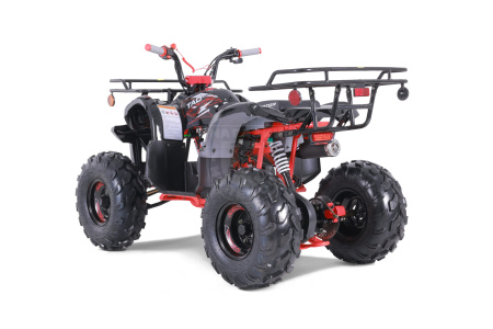 TAO motors Квадроцикл TAO 2022 T-FORCE чёрный
