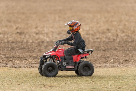 TAO motors Квадроцикл TAO MUDHAWK 6 красный