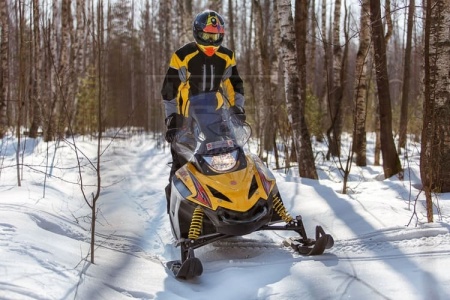 RM (Русская механика) Снегоход TIKSY 250 Люкс 22 л.с. PM3-250