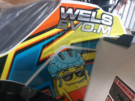WELS Квадроцикл WELS THUNDER EVO M 110 r