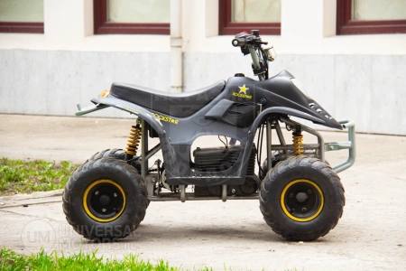 Bison Квадроцикл Bison Super Mini Electro black