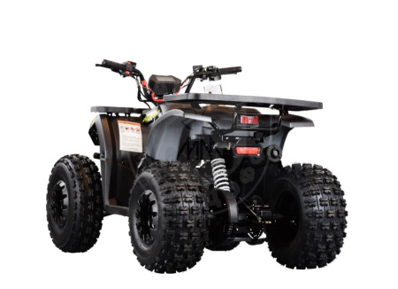 TAO motors Квадроцикл TAO MUDHAWK 10 чёрный