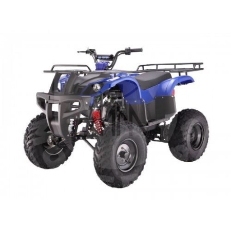 TAO motors Квадроцикл TAO BULL150 синий