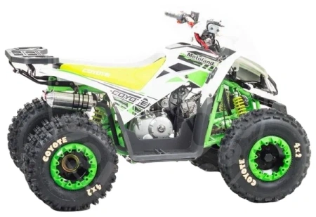 Motoland Квадроцикл MOTOLAND 125 COYOTE PRO green купить в Мопедофф www.9814555.ru