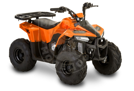 Детские Квадроцикл Tao Motor 110 Mudhawk Orange