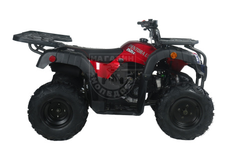 Apollo Квадроцикл Apollo PENTORA 150 UT AUTO W / R красный