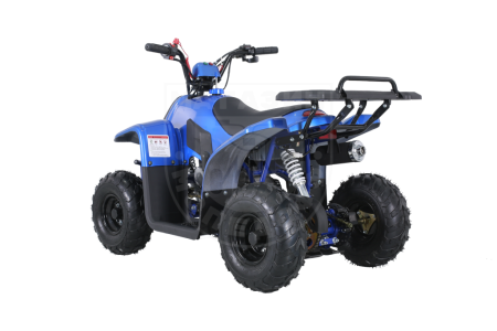 Детские Квадроцикл Tao Motor 110 Rock Blue