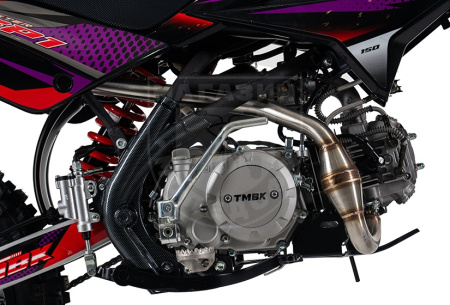 PROGASI Питбайк TMBK PITSTER SP1 125 14/12 red purple
