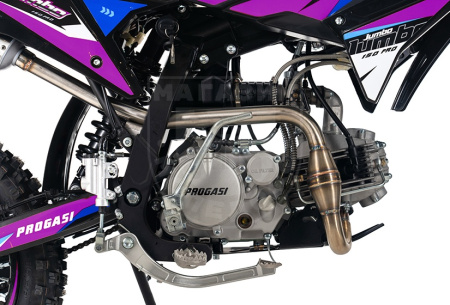 PROGASI Питбайк PROGASI Jumbo 150 PRO 19/16 Purple Blue