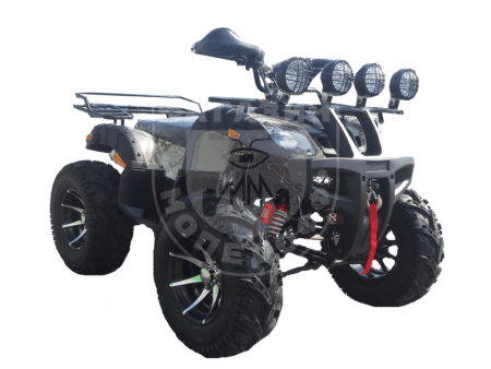 Grizzly Квадроцикл GRIZZLY 250 черный