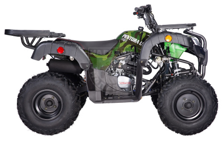 Apollo Квадроцикл Apollo PENTORA 250 С РУЧНЫМ СЦЕПЛЕНИЕМ зелёный камуфляж
