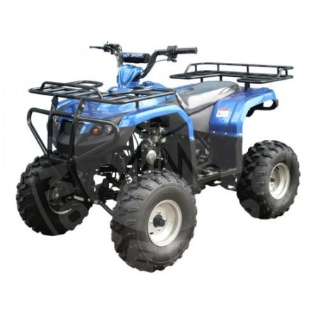 TAO motors Квадроцикл TAO F125(ATA125F1) синий