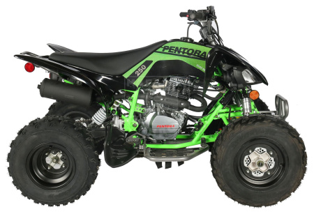 Apollo Квадроцикл Apollo PENTORA 250 зелёный