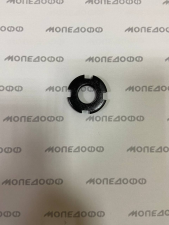 photo1677600234 (7)