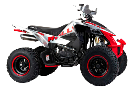 Квадроцикл MOTOLAND ATV VOX250 RALLY