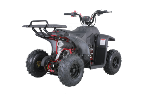 Детские Квадроцикл Tao Motor 110 Rock Blak matte