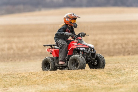TAO motors Квадроцикл TAO MUDHAWK 6 красный
