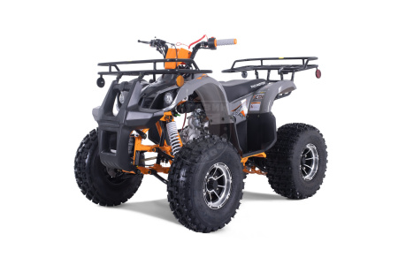 TAO motors Квадроцикл TAO 2022 T-FORCE PLATINUM оранжевый