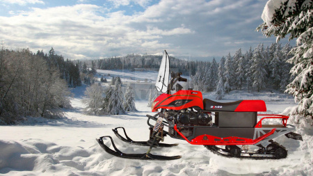 IRBIS MOTORS Снегоход разборный Dingo T150
