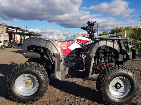 Yacota Квадроцикл Yacota SELA 150сс 4т