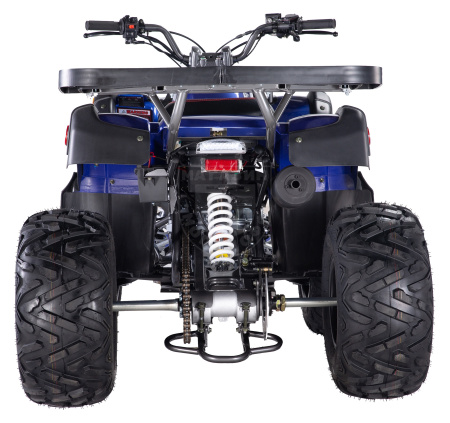 Apollo Квадроцикл Apollo PENTORA 250 С РУЧНЫМ СЦЕПЛЕНИЕМ синий