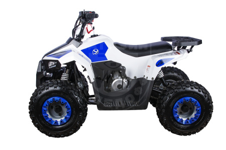 Yacota Квадроцикл YACOTA RAPOSA 110cc белый