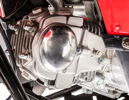 Детские Квадроцикл Tao Motor 110 Mudhawk Red